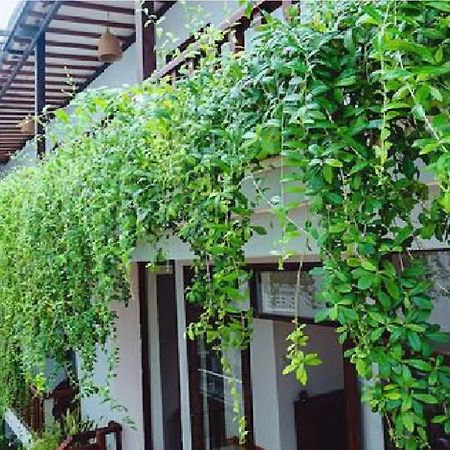 Riverside Plum Garden Villa Hoi An Zewnętrze zdjęcie