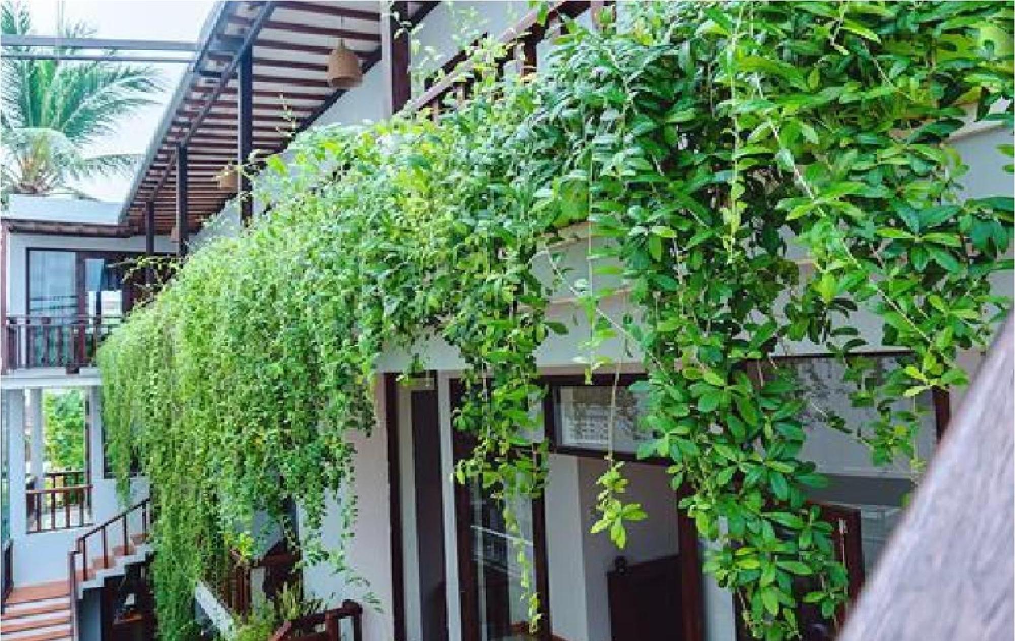 Riverside Plum Garden Villa Hoi An Zewnętrze zdjęcie